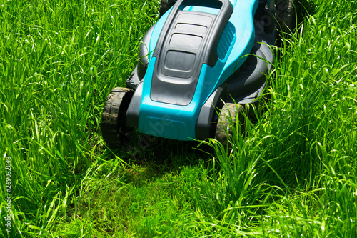 Lawn mower cutting green grass. Work in the garden