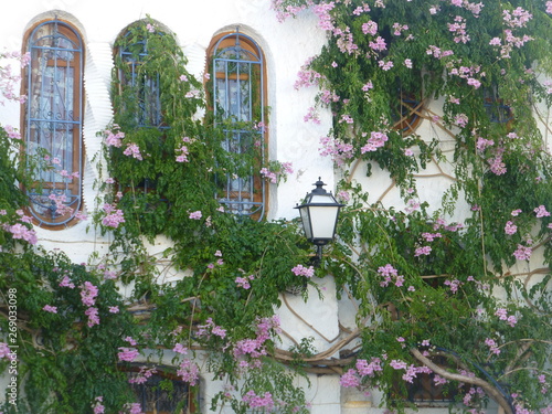 Mojacar. White village of Almeria. Andalusia,Spain photo