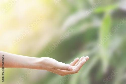 the isolated of the support young woman hand with on Blur nature Bamboo leaf background, clipping path