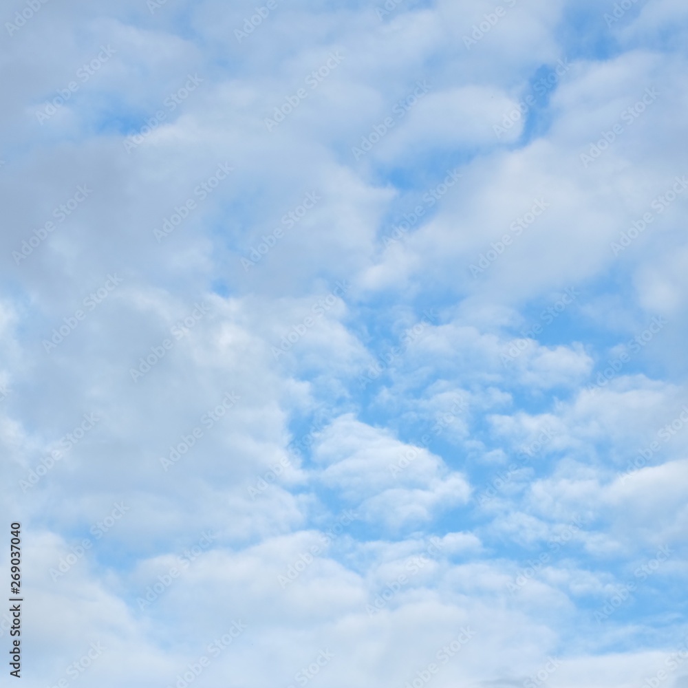 Naklejka premium skies