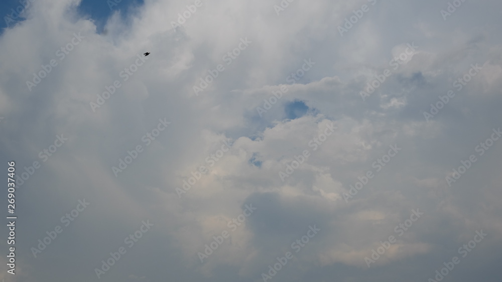 skies skies