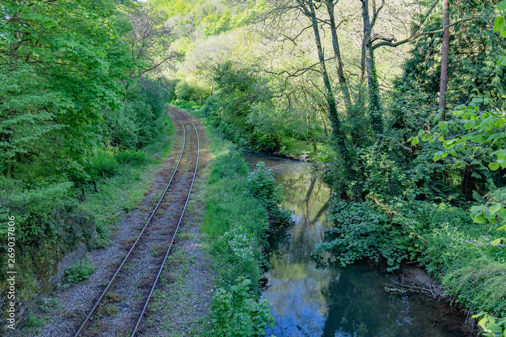 Looe Valley Rail Line Looe Valley Rail Line