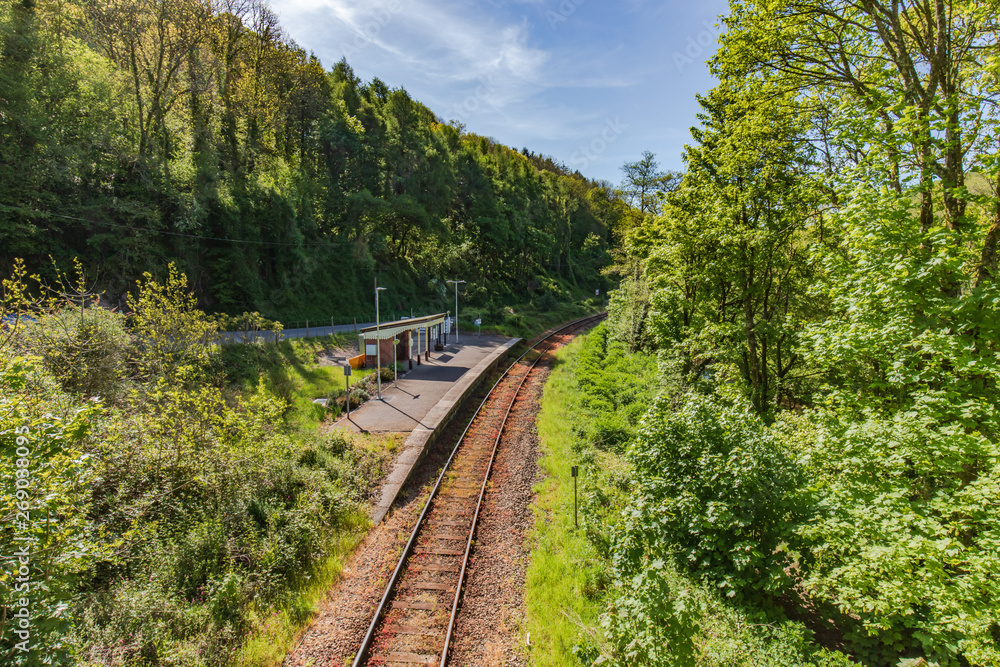 Obraz premium Looe Valley Rail Line