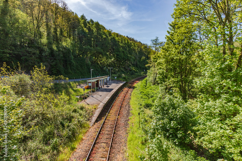 Looe Valley Rail Line