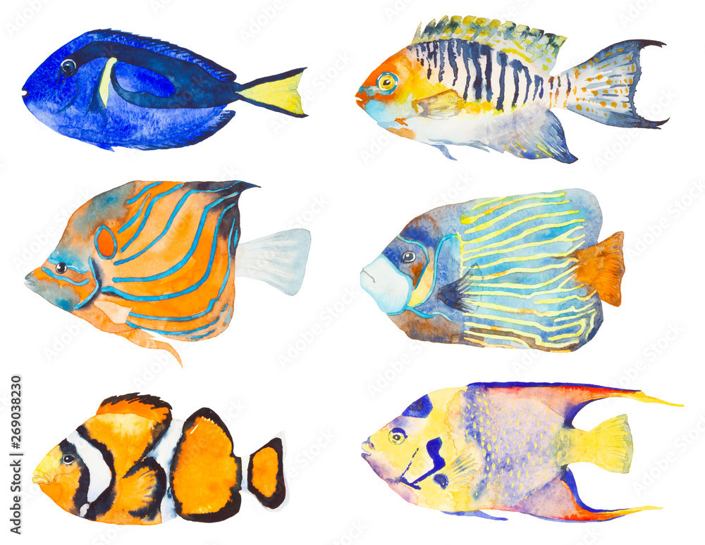 Fototapeta premium Watercolor ocean set. 6 elements isolated on white background for postcard, textile, background, wallpaper and any other design.