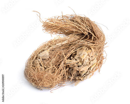Roots of Chrysopogon zizanioides, commonly known as vetiver. Isolated on white background photo