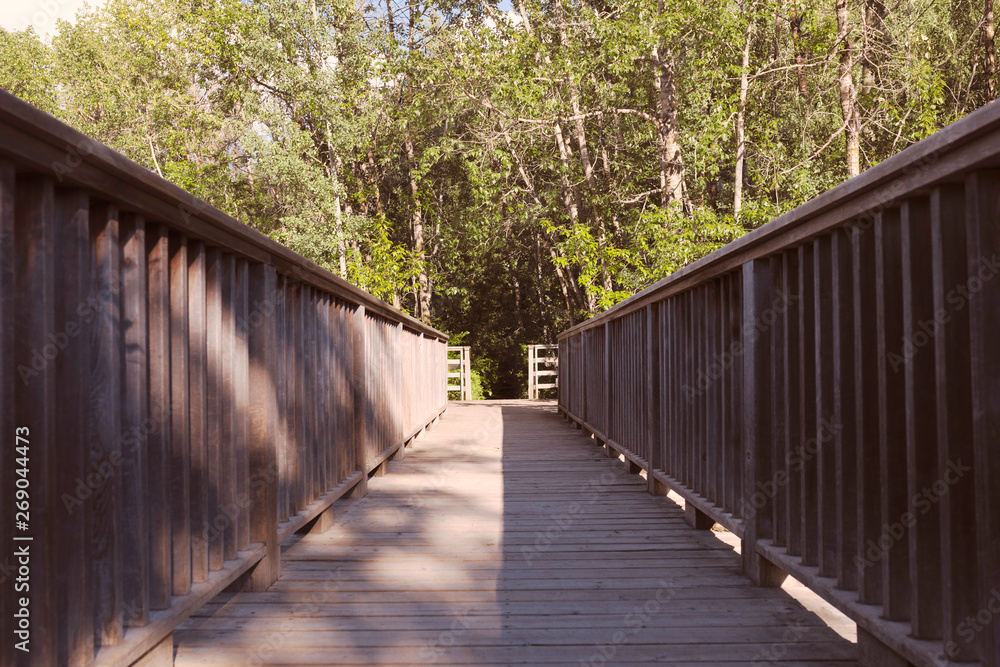 Symmetrical perspective of a Wooden Bridge in the park Symmetrical perspective of a Wooden Bridge in the park