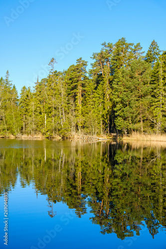 Fototapeta Naklejka Na Ścianę i Meble -  Forest lake with reflections in the water