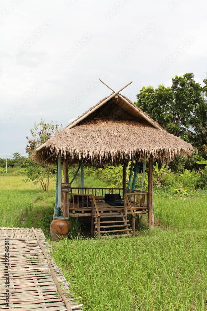 Bamboo hut on the green paddy rice field.