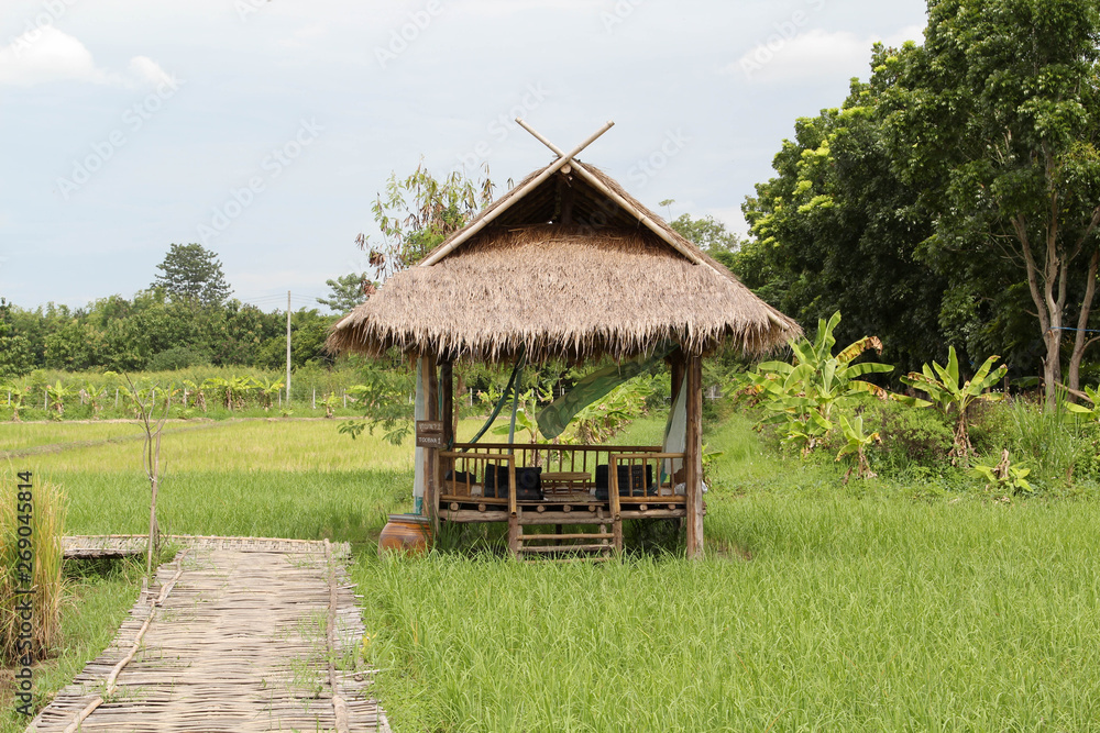 Bamboo hut on the green paddy rice field. Bamboo hut on the green paddy rice field.