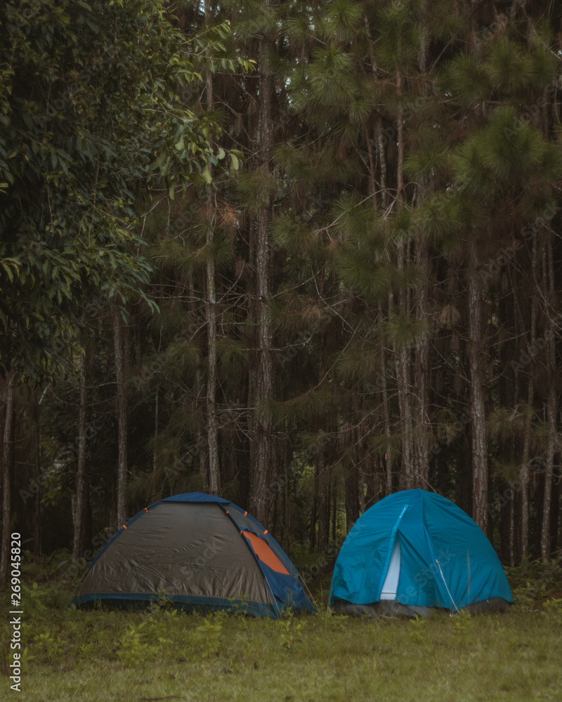 tent in the forest