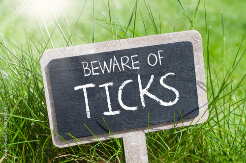 Chalkboard in green grass with beware of ticks