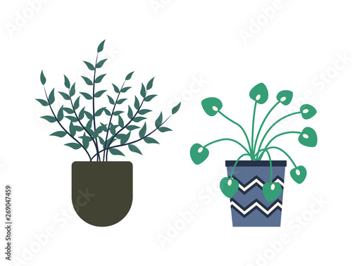 Flowers growing in pots vector, isolated set of flowerpots decorated with stripes and zig zags, orangery with foliage and botanic variety of houseplants