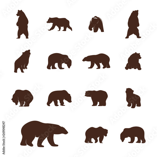 Se of Bear Logo Icon Designs Vector. Bears Logo Concepts. Icon Symbol.