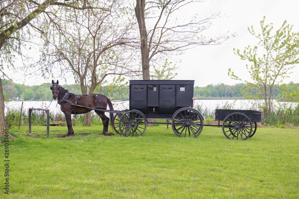 Amish Buggy with Wagon Hitched to Rail