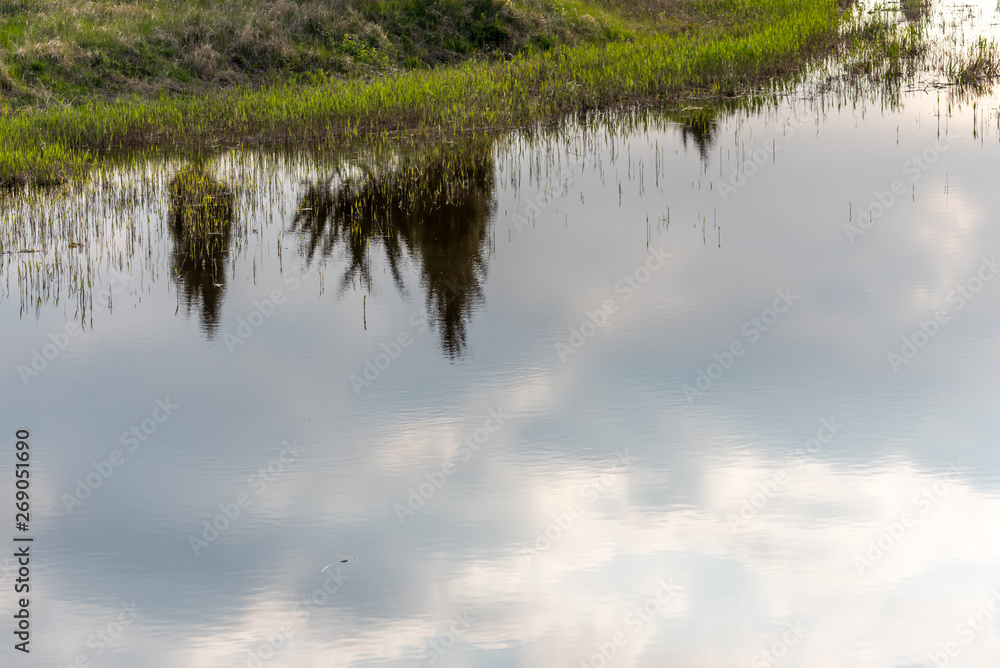 Reflections of Sky and Trees in a Lake in Wetlands in Latvia