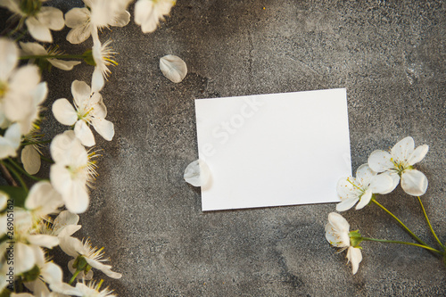 on a beautiful grey concrete table background, white wild cherry flowers and a white plate to insert text. For logo design