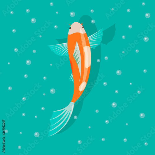 Carp on a light background. Fish in a minimalist style on a background of bubbles.