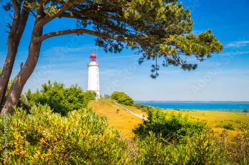 Obraz na płótnie Lighthouse Dornbusch on the island Hiddensee, Ostsee, Germany w salonie