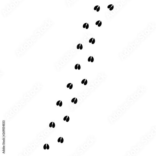 Vector flat black cow deer goat sheep foot print silhouette path isolated on white background 