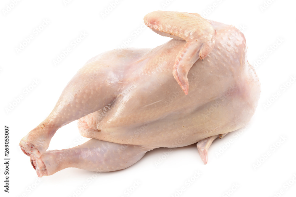 chicken on a white background chicken on a white background