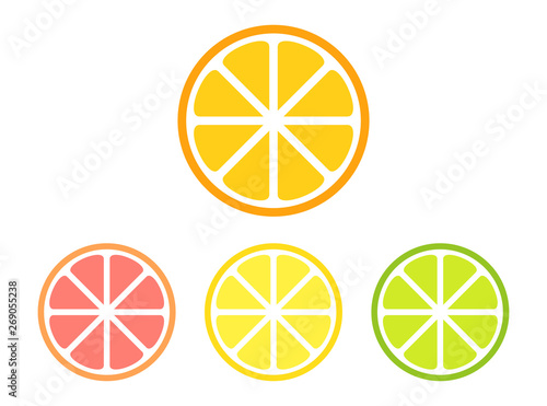 Different citrus slices set