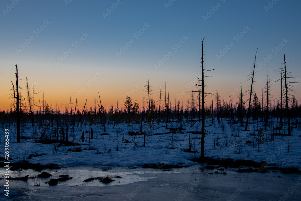 Northern sunset on a cold spring evening Northern sunset on a cold spring evening