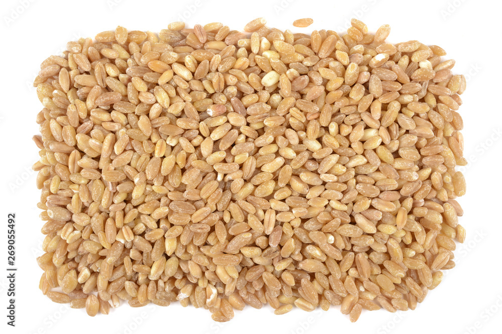 seeds of wheat seeds of wheat