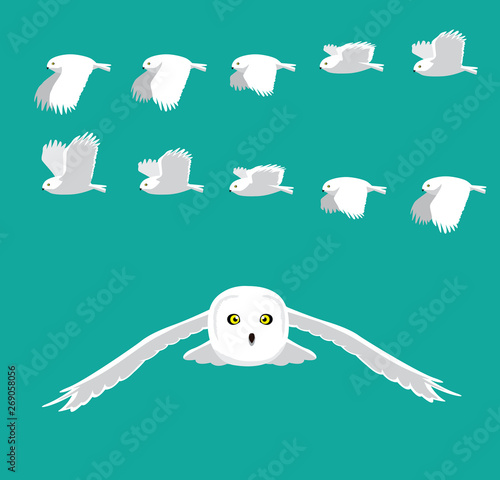 Snowy Owl Flying Animation Sequence Cartoon Vector