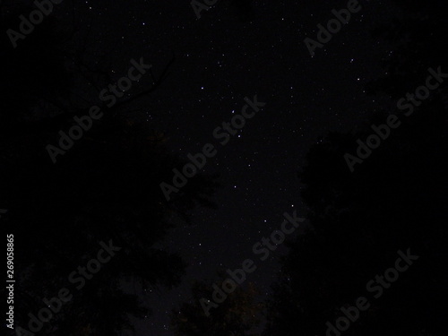 stars in the night