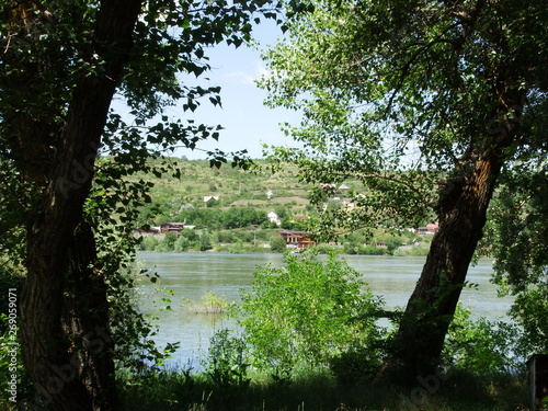 pond in the park