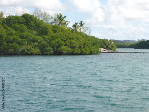 Karibikkreuzfahrt - Ausflug zu den Mangroven auf der Insel Martinique