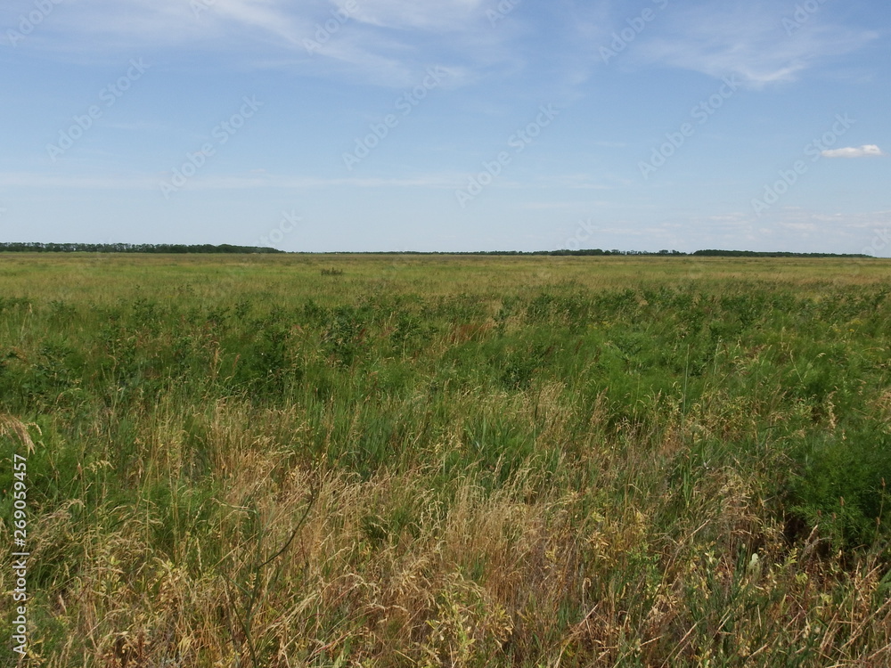 green field and blue sky green field and blue sky