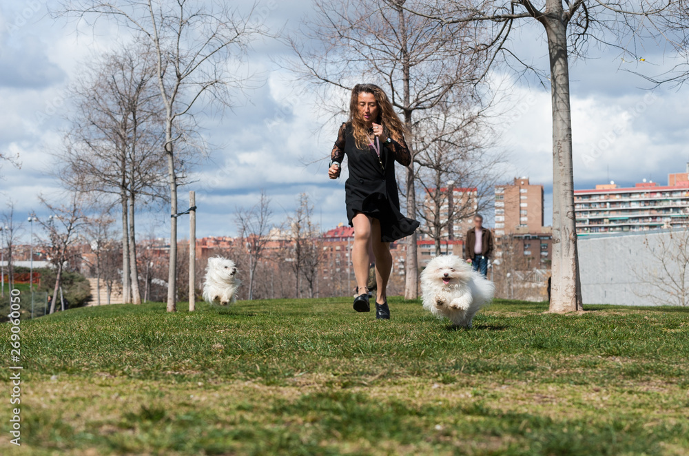 50 year old woman walks, exercises and enjoys her Bichon dogs. 50 year old woman walks, exercises and enjoys her Bichon dogs.