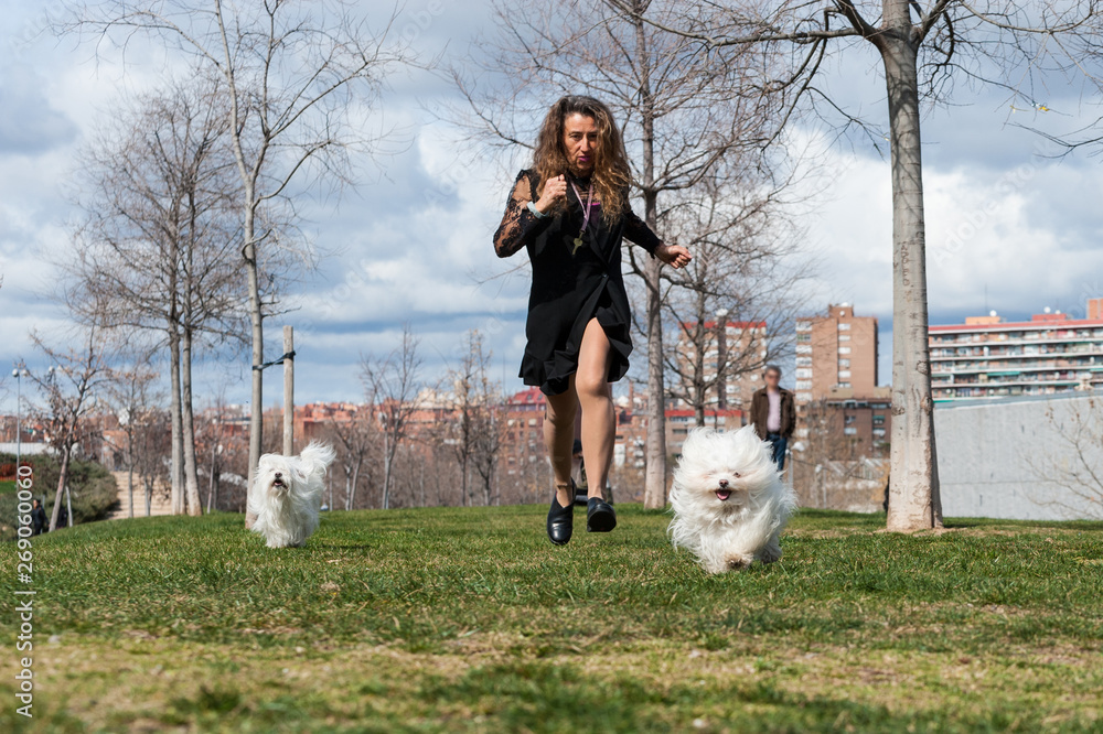 50 year old woman walks, exercises and enjoys her Bichon dogs. 50 year old woman walks, exercises and enjoys her Bichon dogs.