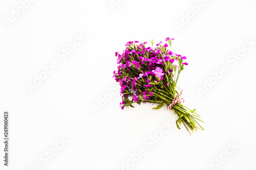 Fototapeta Naklejka Na Ścianę i Meble -  Purple flowers on background