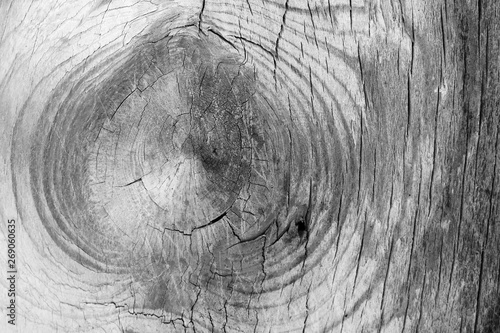 Background wood texture close up