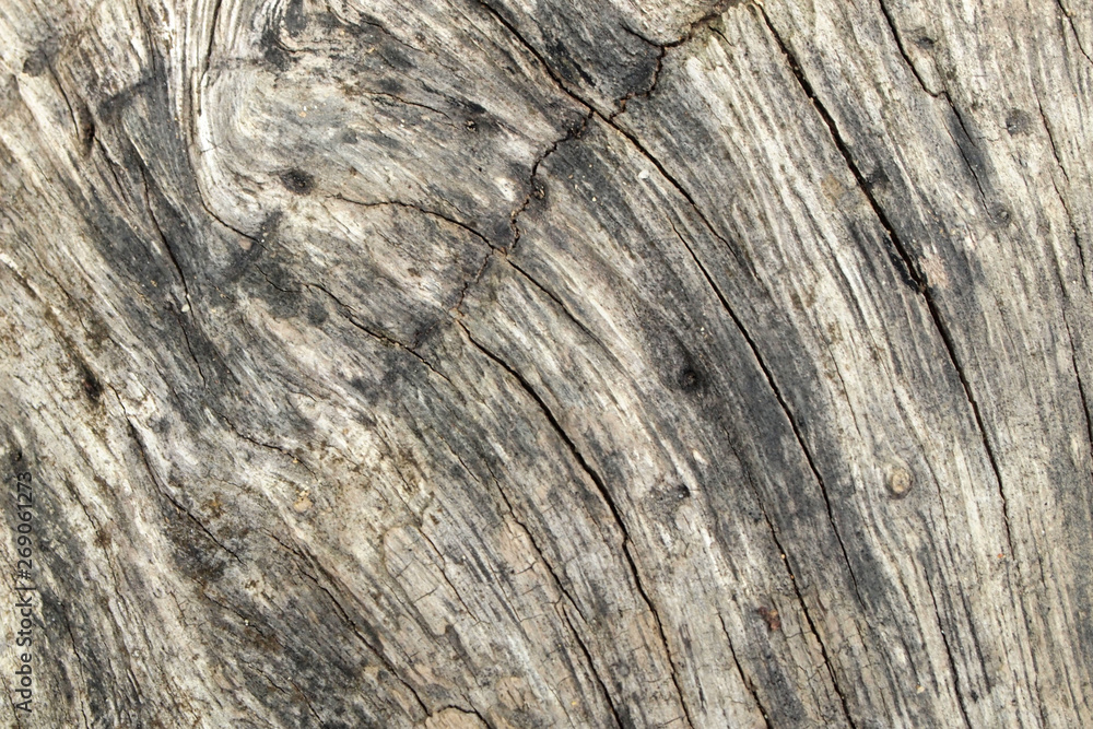 Background wood texture close up