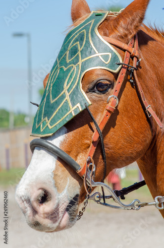 Horse face close up with armor o