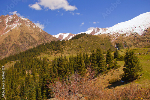 Mountain landscapes of Kyrgyzstan. Spring in the mountains. © Ondrej