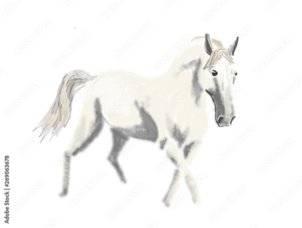 Naklejka biały koń