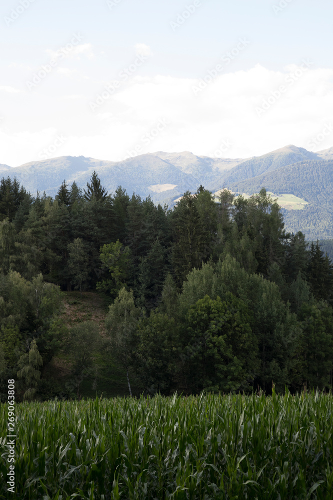 Fototapeta premium Dolomiten - Südtirol - Weltkulturerbe