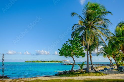 Fototapeta Naklejka Na Ścianę i Meble -  Little Cayman, Cayman Islands, beach on South Hole Sound
