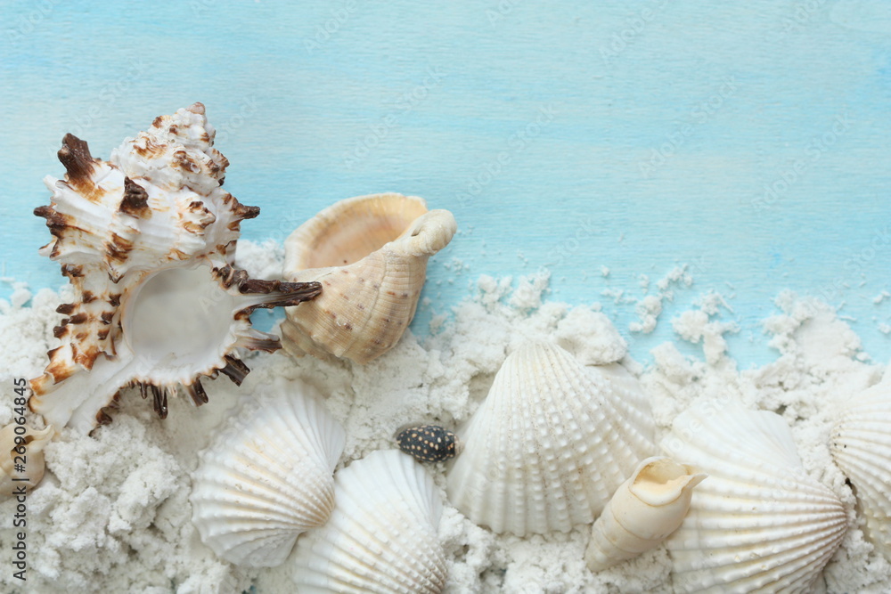 seashells and sand on a blue background seashells and sand on a blue background