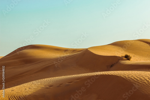 Sand dunes of the desert close up. Dubai 2019.