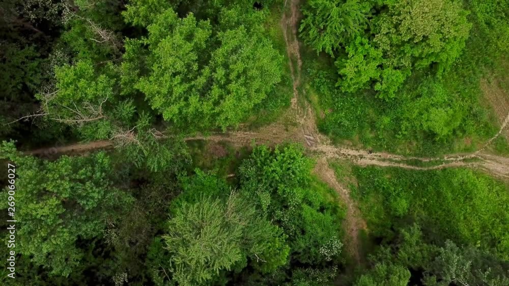 Drone's Eye View - 4K aerial top down view of woodland mysterious forest road Drone's Eye View - 4K aerial top down view of woodland mysterious forest road