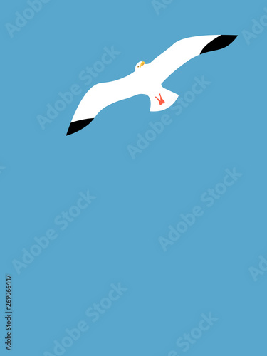 Seagull background on a blue sky
