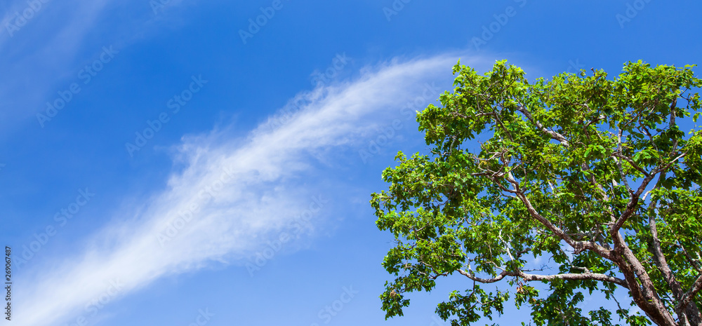 Ripple clouds and light blue sky on sunny summer.