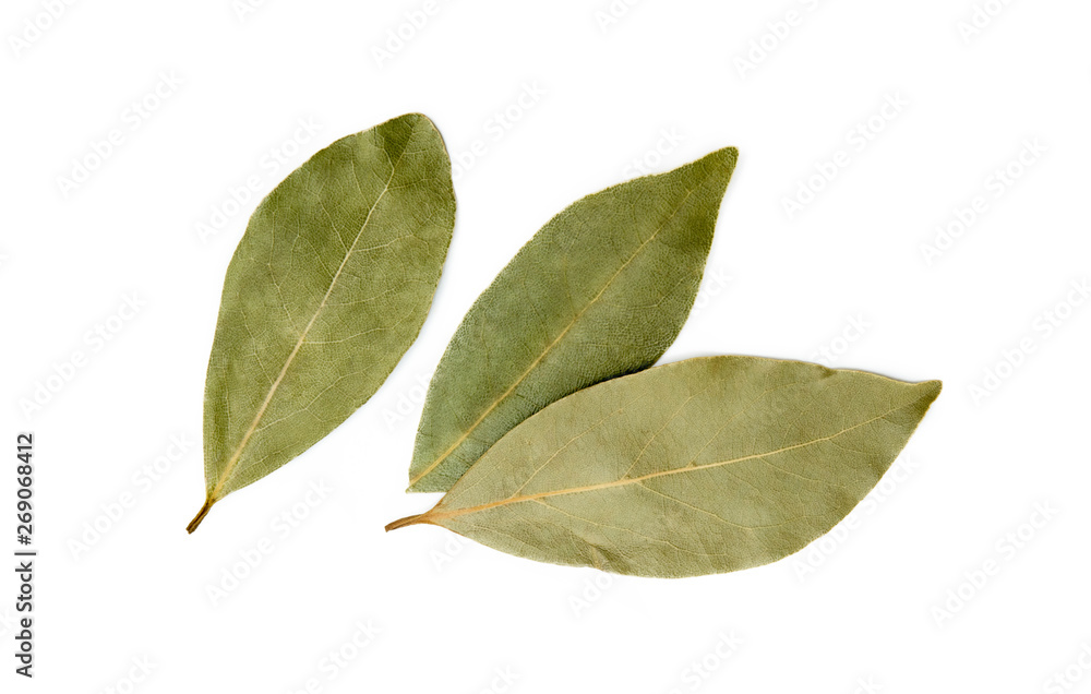 Dried bay leaf isolated on white background Dried bay leaf isolated on white background