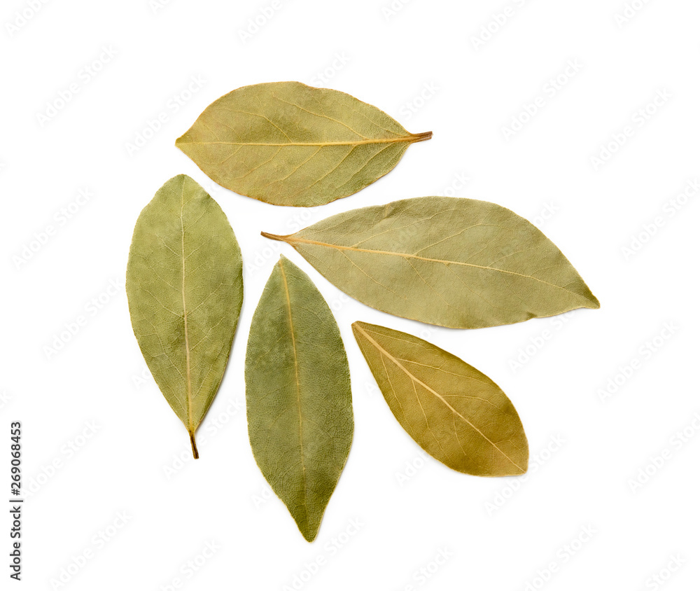 Dried bay leaf isolated on white background Dried bay leaf isolated on white background